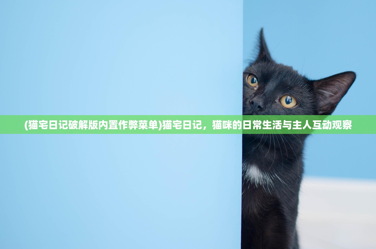(猫宅日记破解版内置作弊菜单)猫宅日记，猫咪的日常生活与主人互动观察