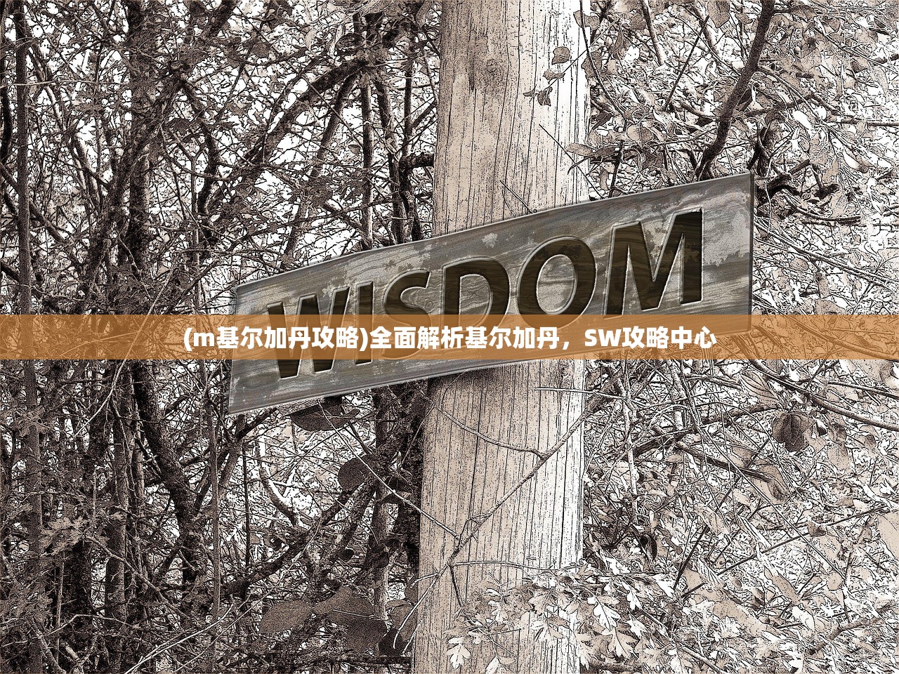 (m基尔加丹攻略)全面解析基尔加丹，SW攻略中心