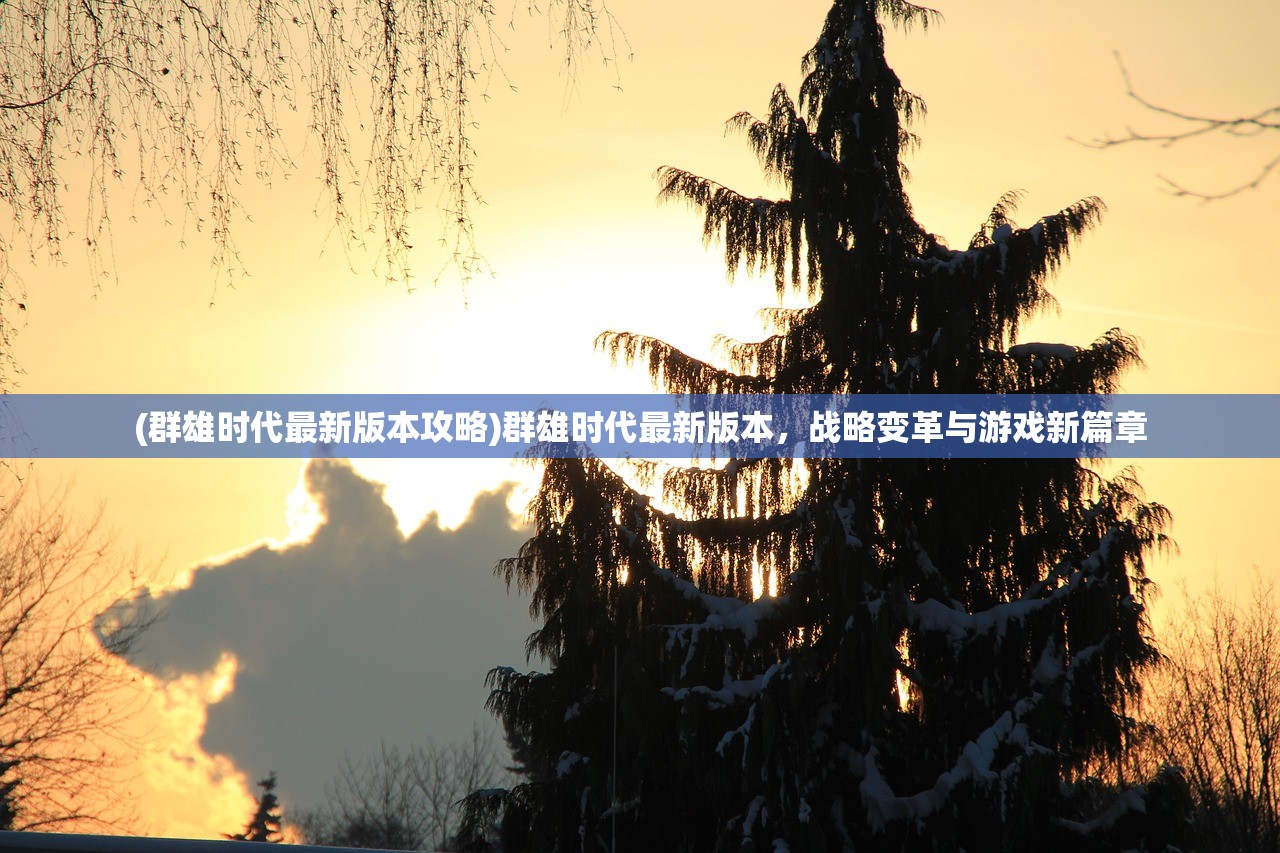 (群雄时代最新版本攻略)群雄时代最新版本，战略变革与游戏新篇章