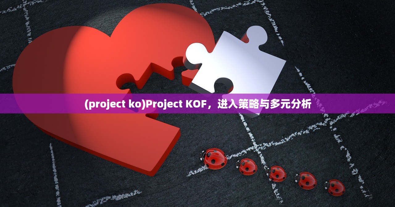 (project ko)Project KOF，进入策略与多元分析