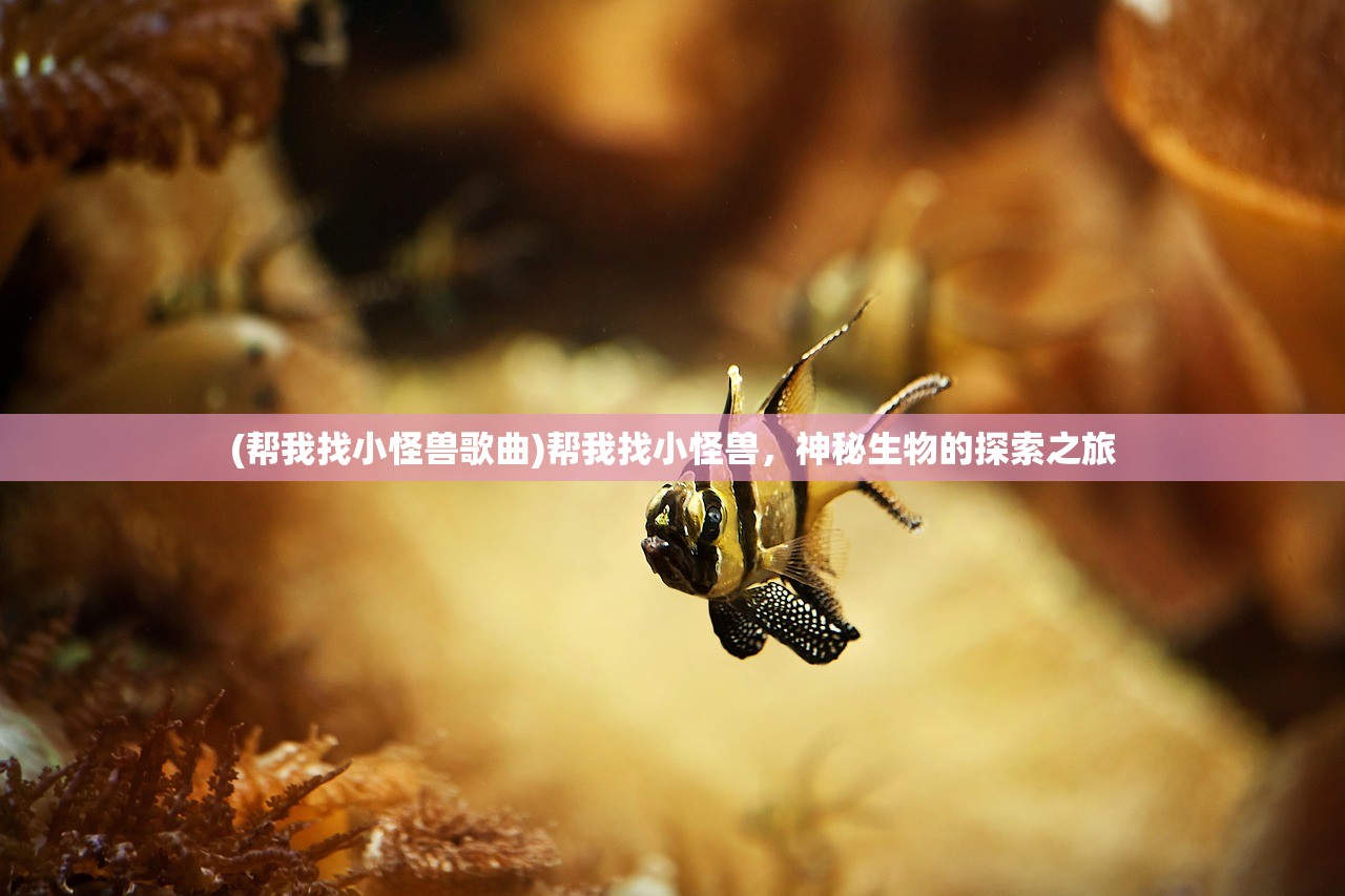 (帮我找小怪兽歌曲)帮我找小怪兽，神秘生物的探索之旅