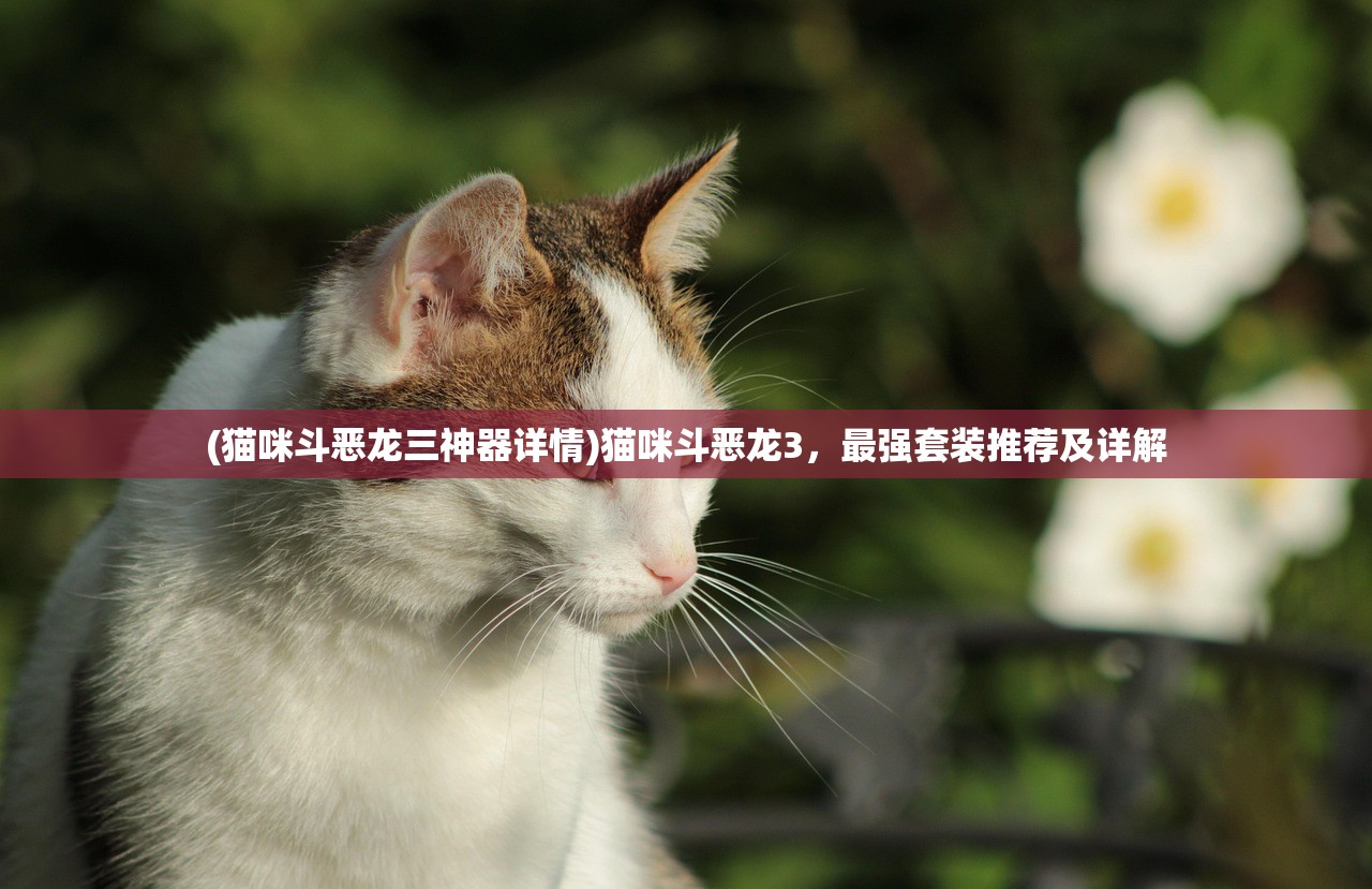 (猫咪斗恶龙三神器详情)猫咪斗恶龙3，最强套装推荐及详解