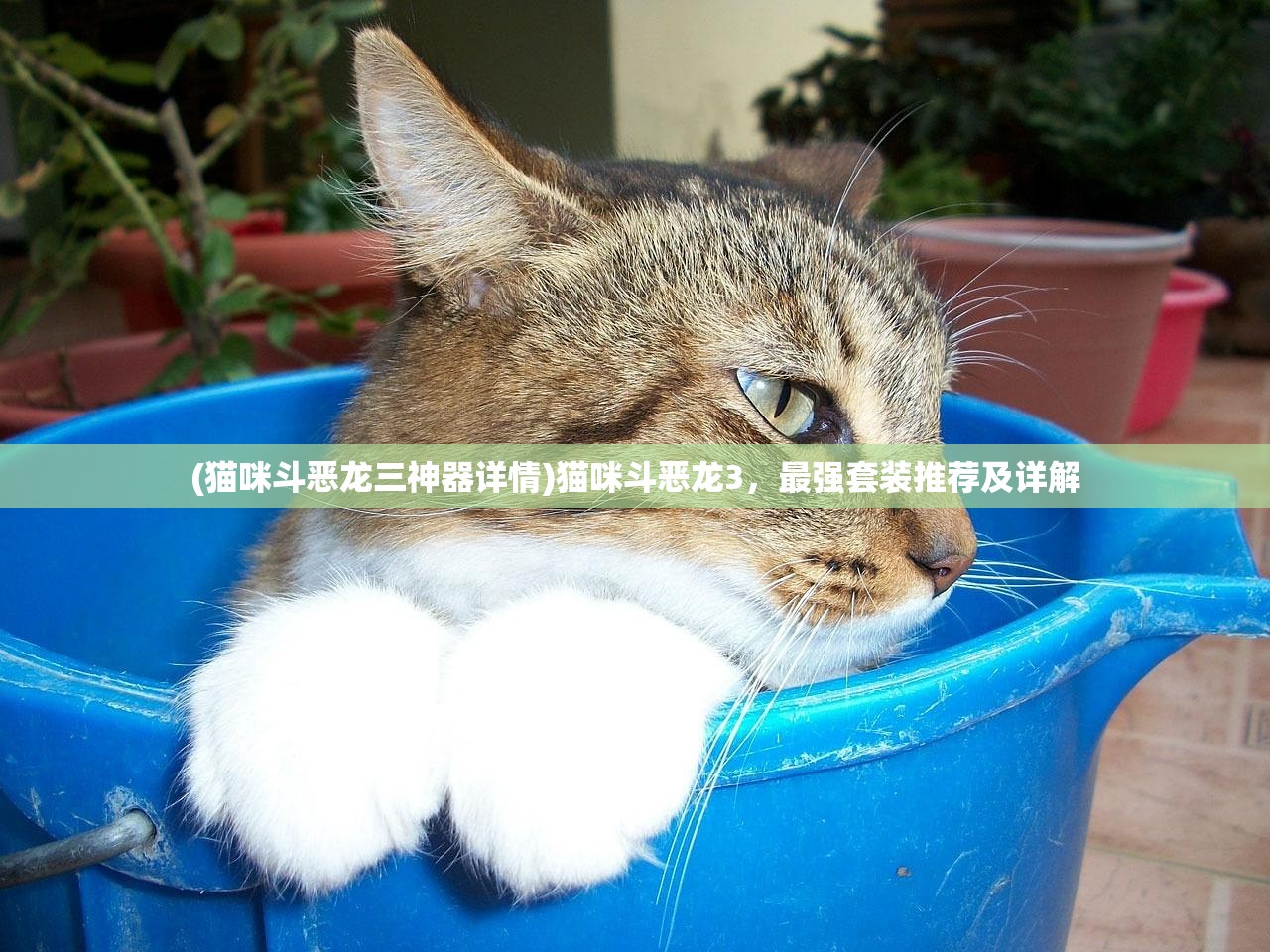 (猫咪斗恶龙三神器详情)猫咪斗恶龙3，最强套装推荐及详解