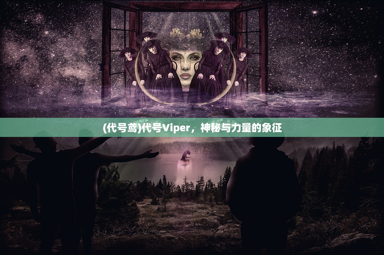 (代号鸢)代号Viper，神秘与力量的象征