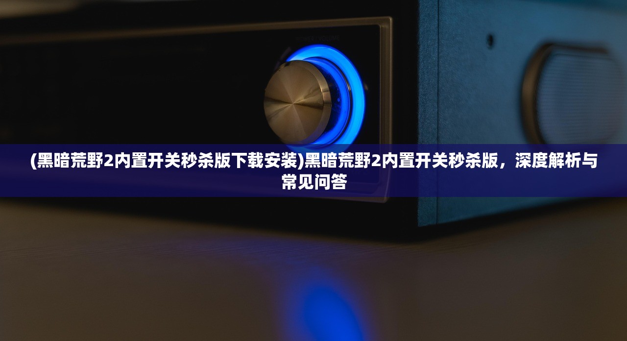 (黑暗荒野2内置开关秒杀版下载安装)黑暗荒野2内置开关秒杀版，深度解析与常见问答