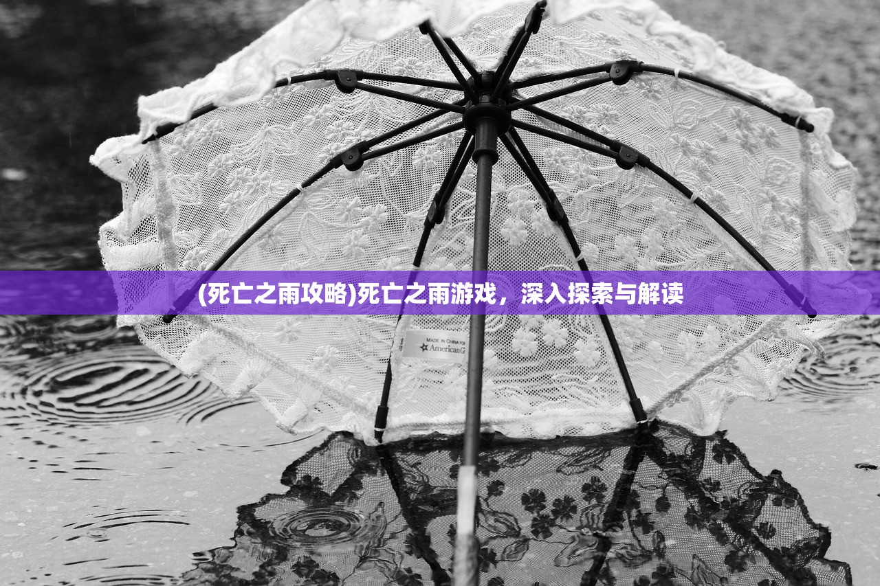 (死亡之雨攻略)死亡之雨游戏，深入探索与解读