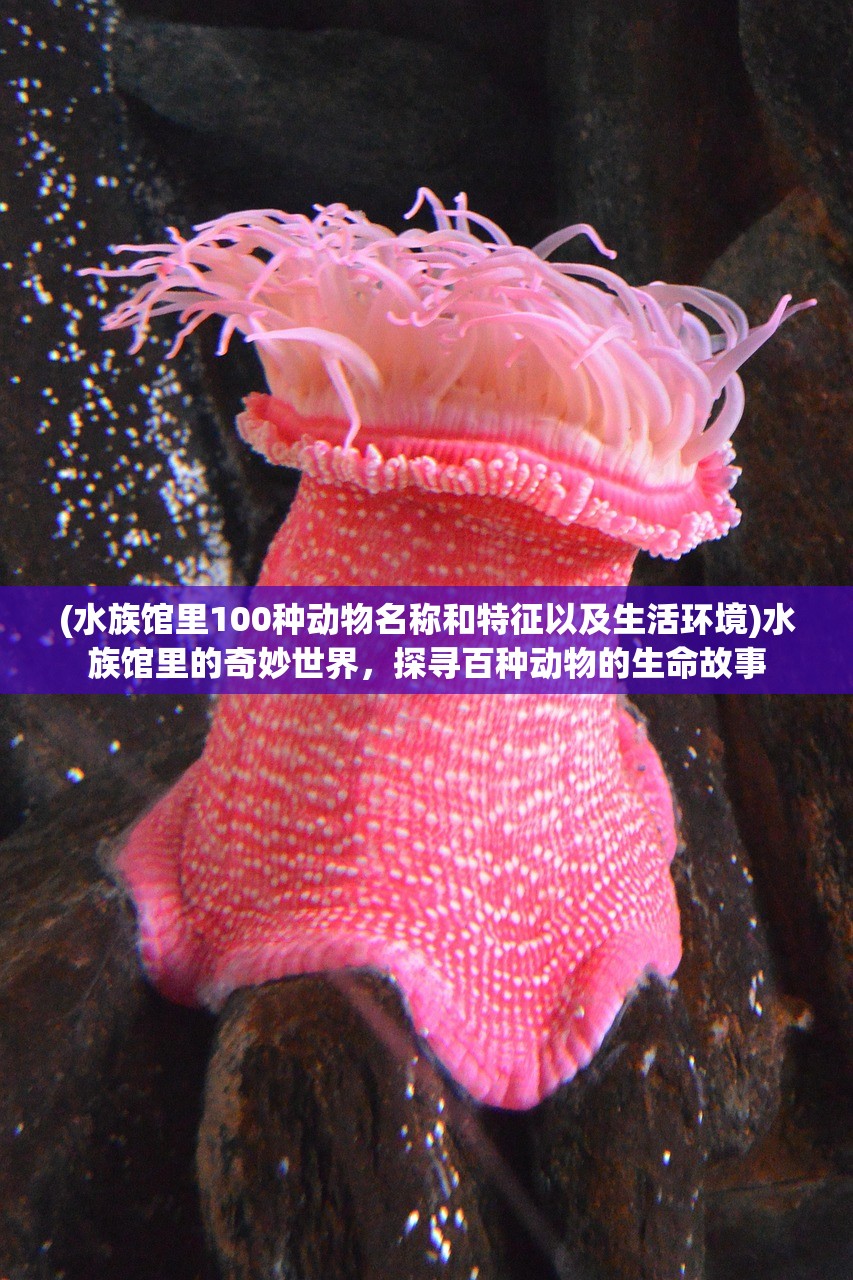 (水族馆里100种动物名称和特征以及生活环境)水族馆里的奇妙世界，探寻百种动物的生命故事