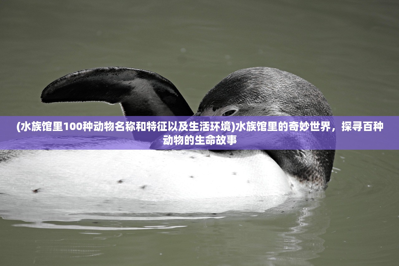 (水族馆里100种动物名称和特征以及生活环境)水族馆里的奇妙世界，探寻百种动物的生命故事