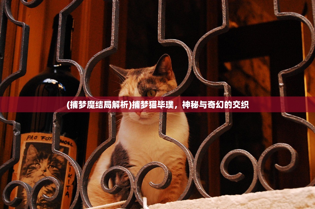 (捕梦魔结局解析)捕梦猫毕璞，神秘与奇幻的交织