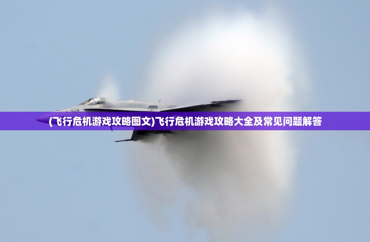 (飞行危机游戏攻略图文)飞行危机游戏攻略大全及常见问题解答