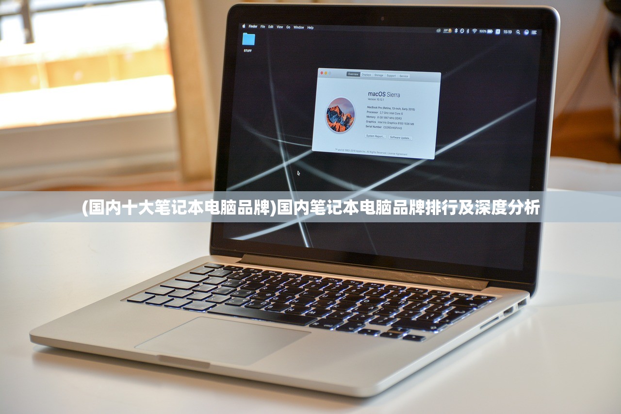 (国内十大笔记本电脑品牌)国内笔记本电脑品牌排行及深度分析