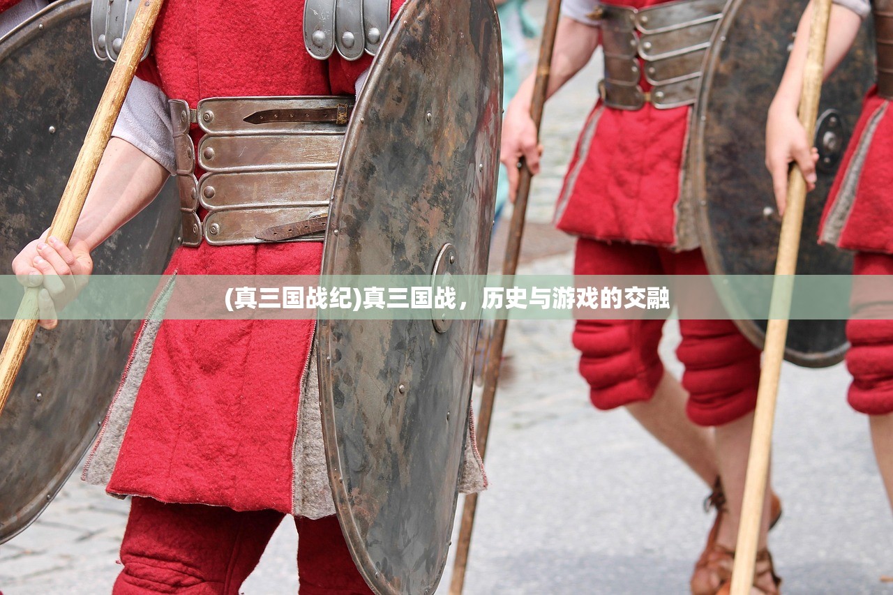 (真三国战纪)真三国战，历史与游戏的交融
