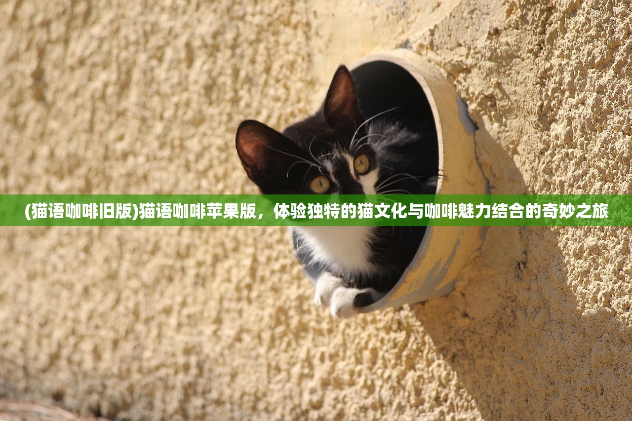 (猫语咖啡旧版)猫语咖啡苹果版，体验独特的猫文化与咖啡魅力结合的奇妙之旅