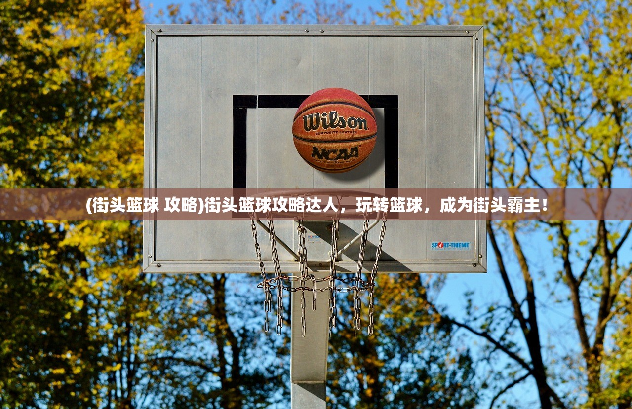 (街头篮球 攻略)街头篮球攻略达人，玩转篮球，成为街头霸主！
