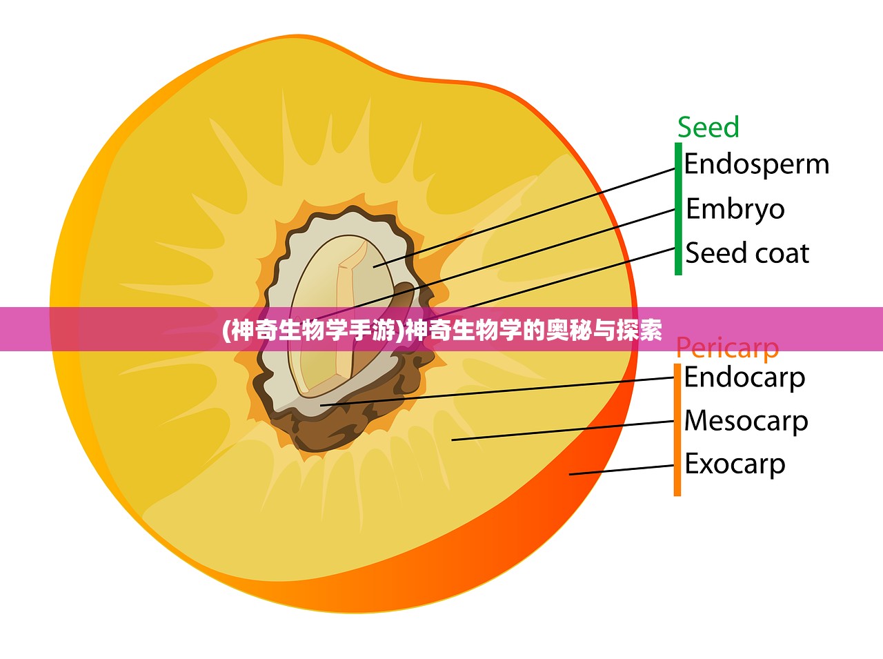 (神奇生物学手游)神奇生物学的奥秘与探索