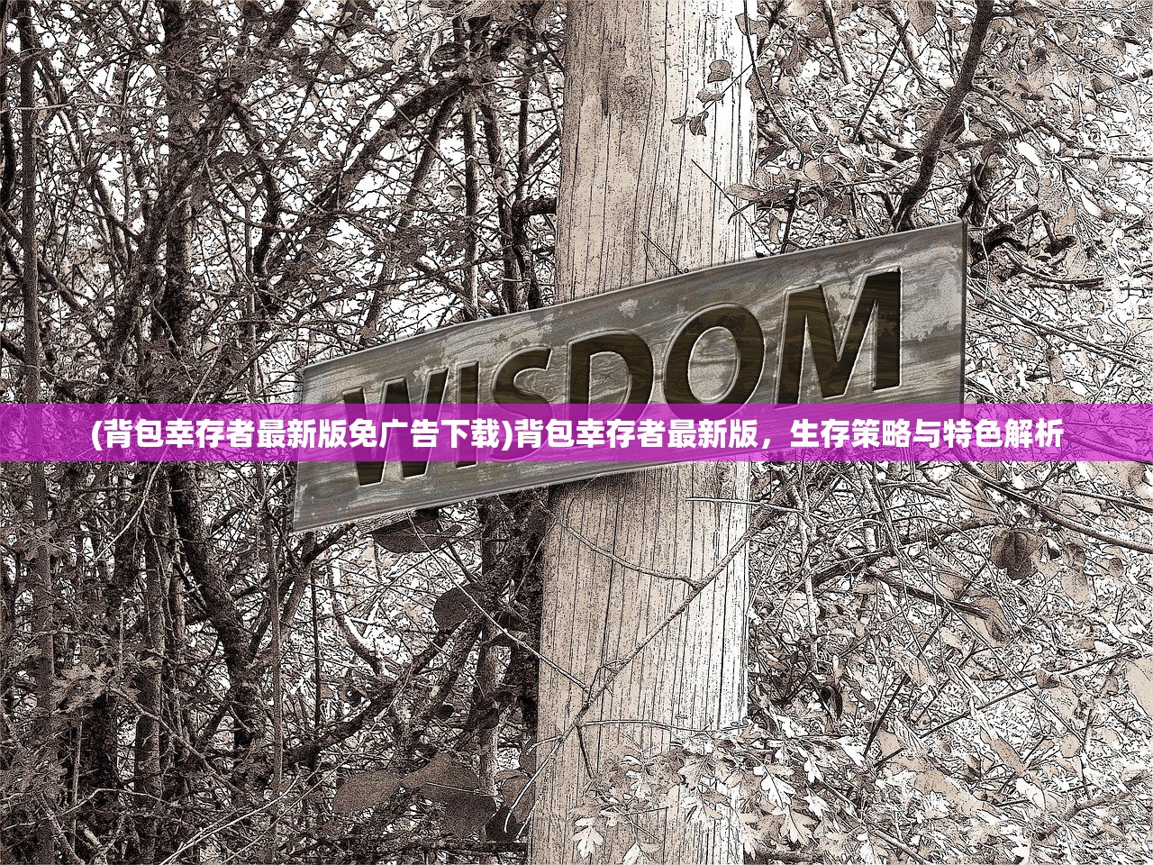 (背包幸存者最新版免广告下载)背包幸存者最新版，生存策略与特色解析