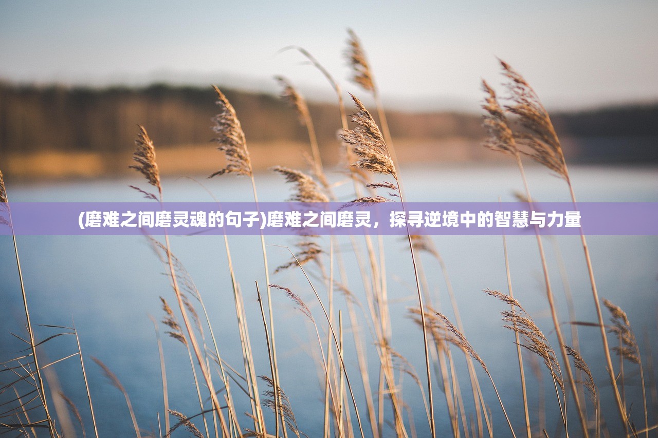 (磨难之间磨灵魂的句子)磨难之间磨灵，探寻逆境中的智慧与力量