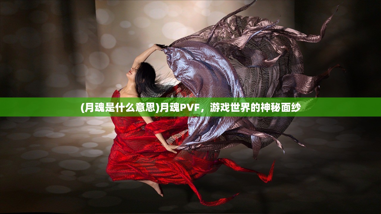 (月魂是什么意思)月魂PVF，游戏世界的神秘面纱