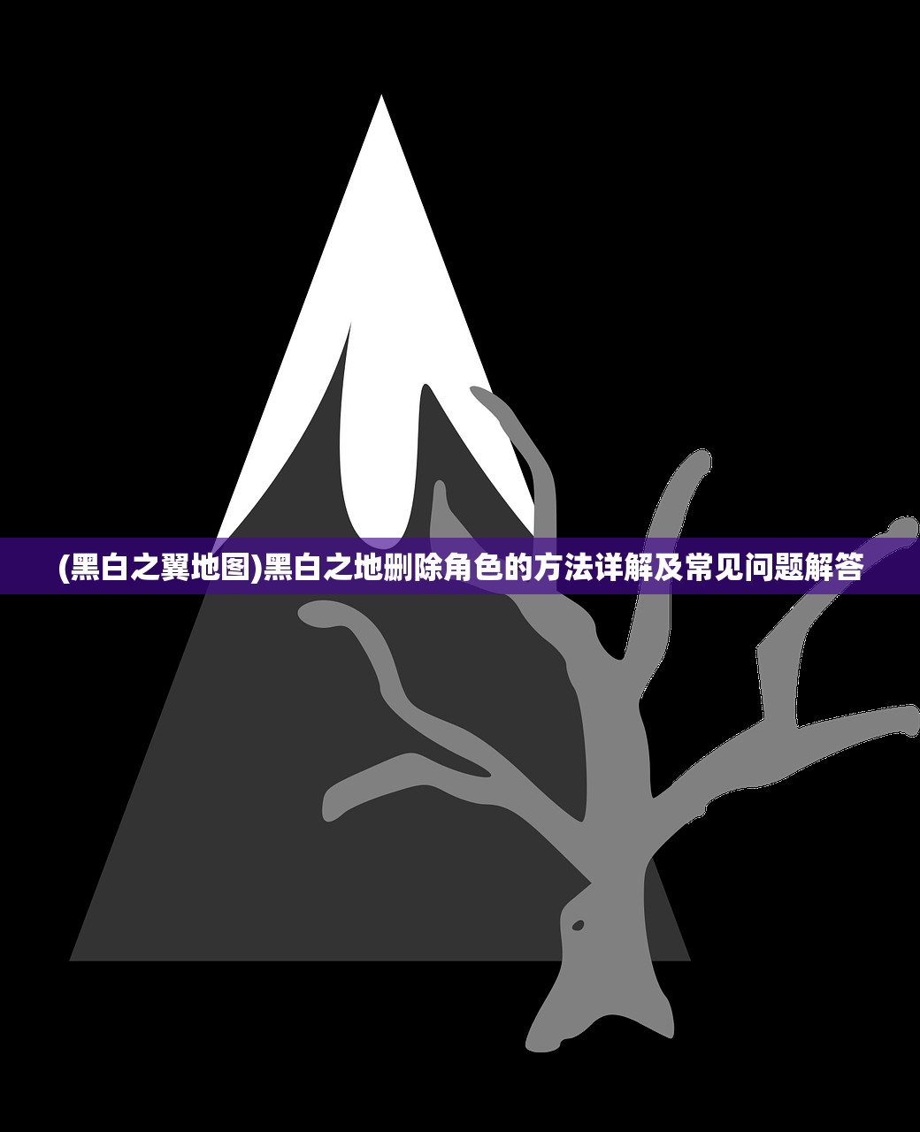 (黑白之翼地图)黑白之地删除角色的方法详解及常见问题解答