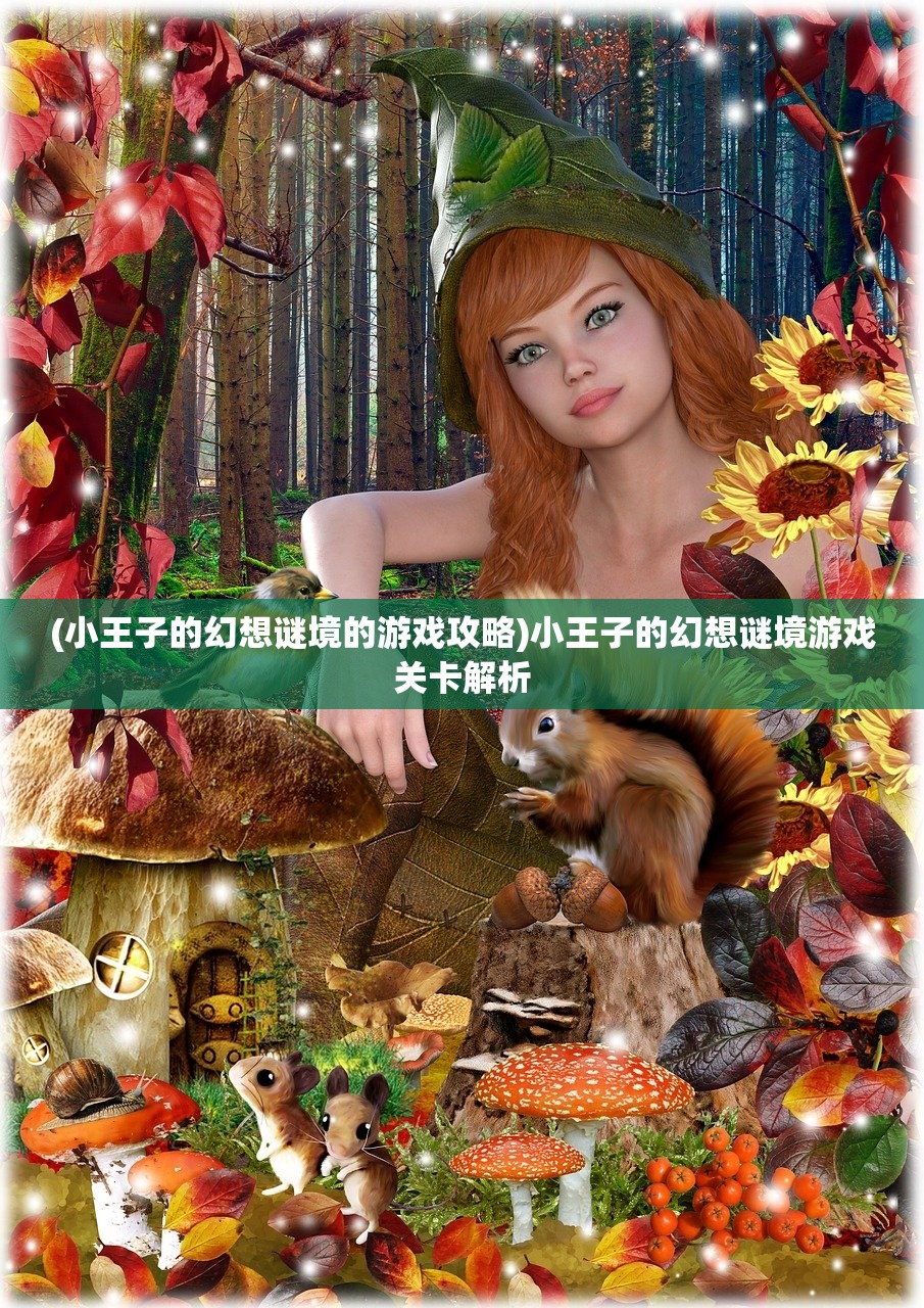 (小王子的幻想谜境的游戏攻略)小王子的幻想谜境游戏关卡解析