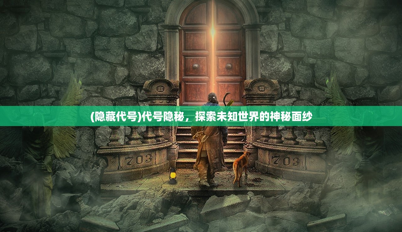(隐藏代号)代号隐秘，探索未知世界的神秘面纱