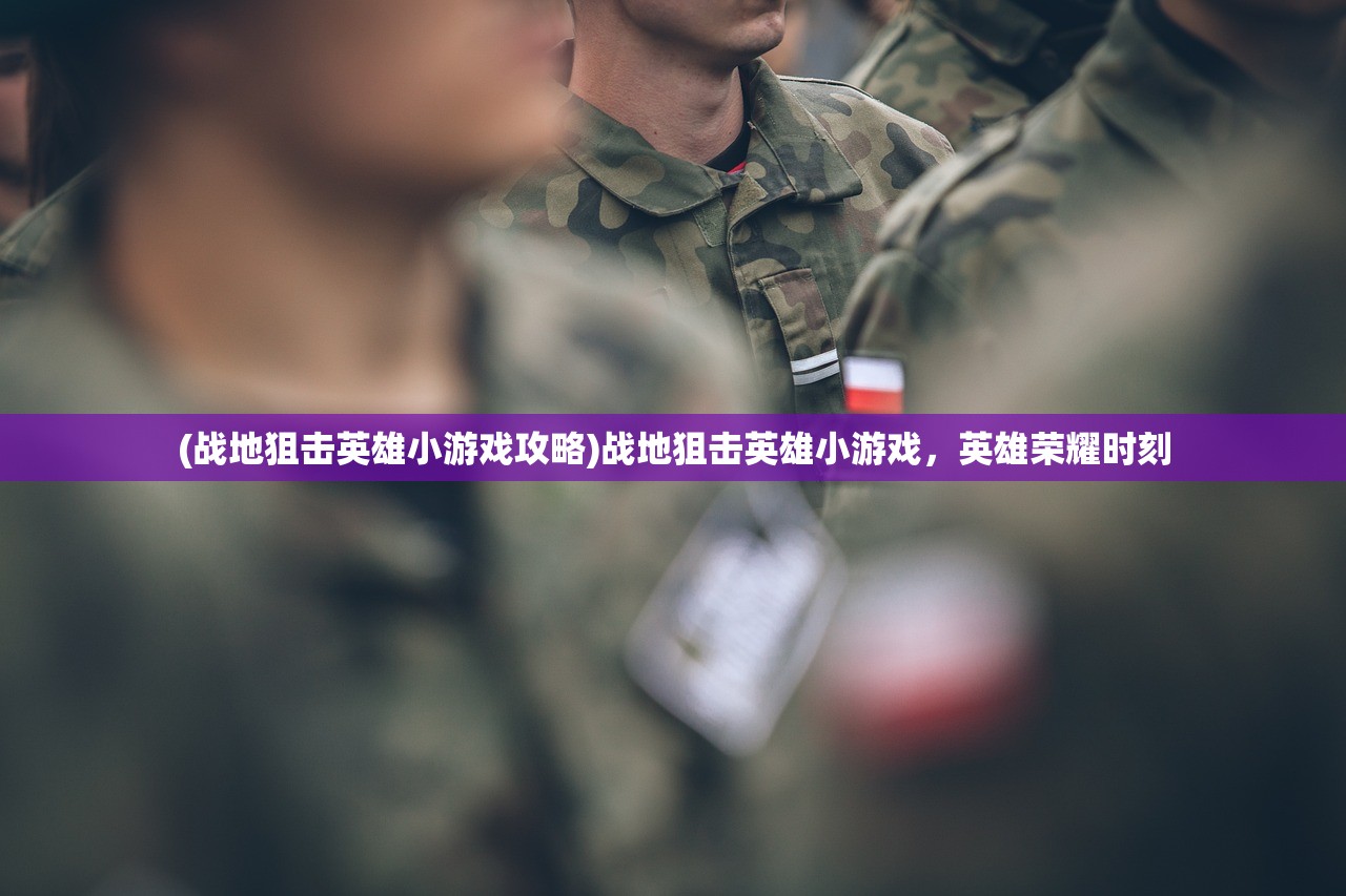 (战地狙击英雄小游戏攻略)战地狙击英雄小游戏，英雄荣耀时刻