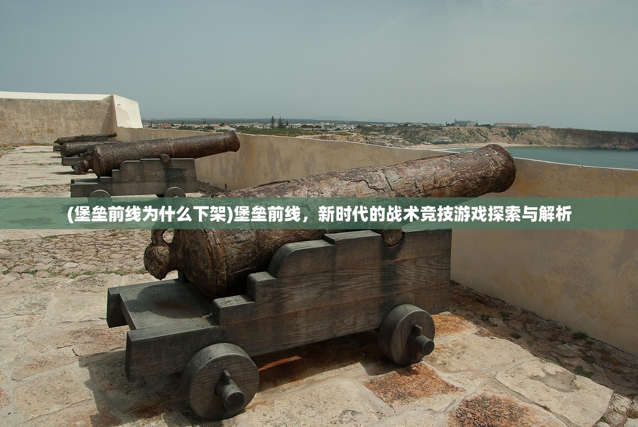 (堡垒前线为什么下架)堡垒前线，新时代的战术竞技游戏探索与解析