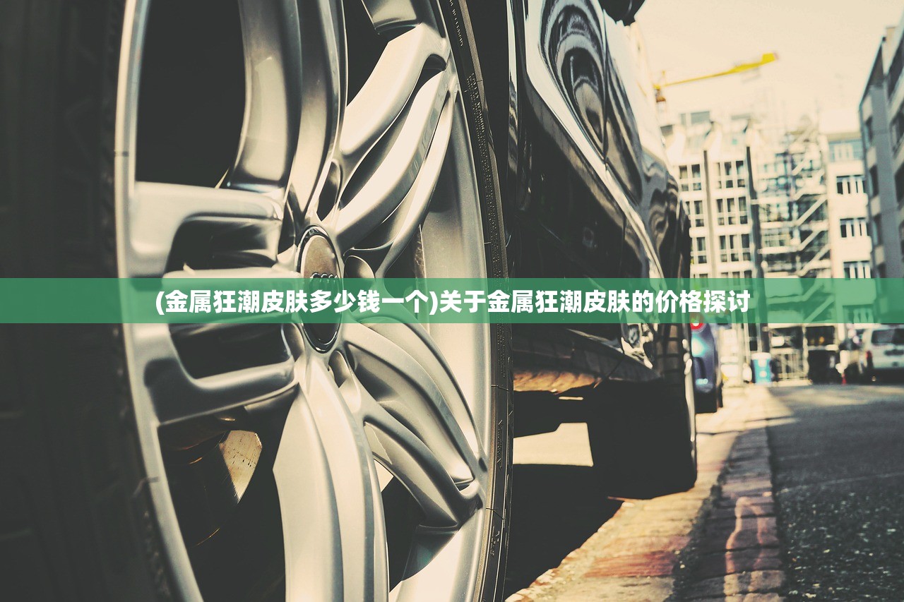 (金属狂潮皮肤多少钱一个)关于金属狂潮皮肤的价格探讨