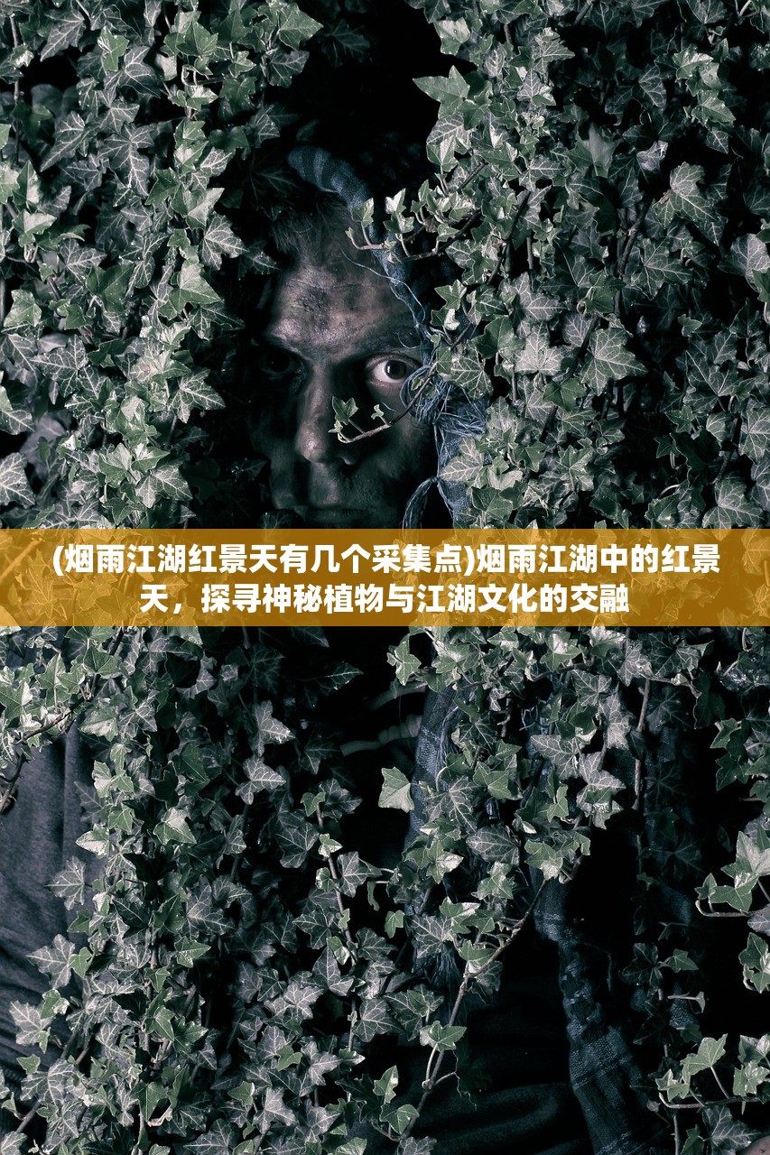 (烟雨江湖红景天有几个采集点)烟雨江湖中的红景天，探寻神秘植物与江湖文化的交融