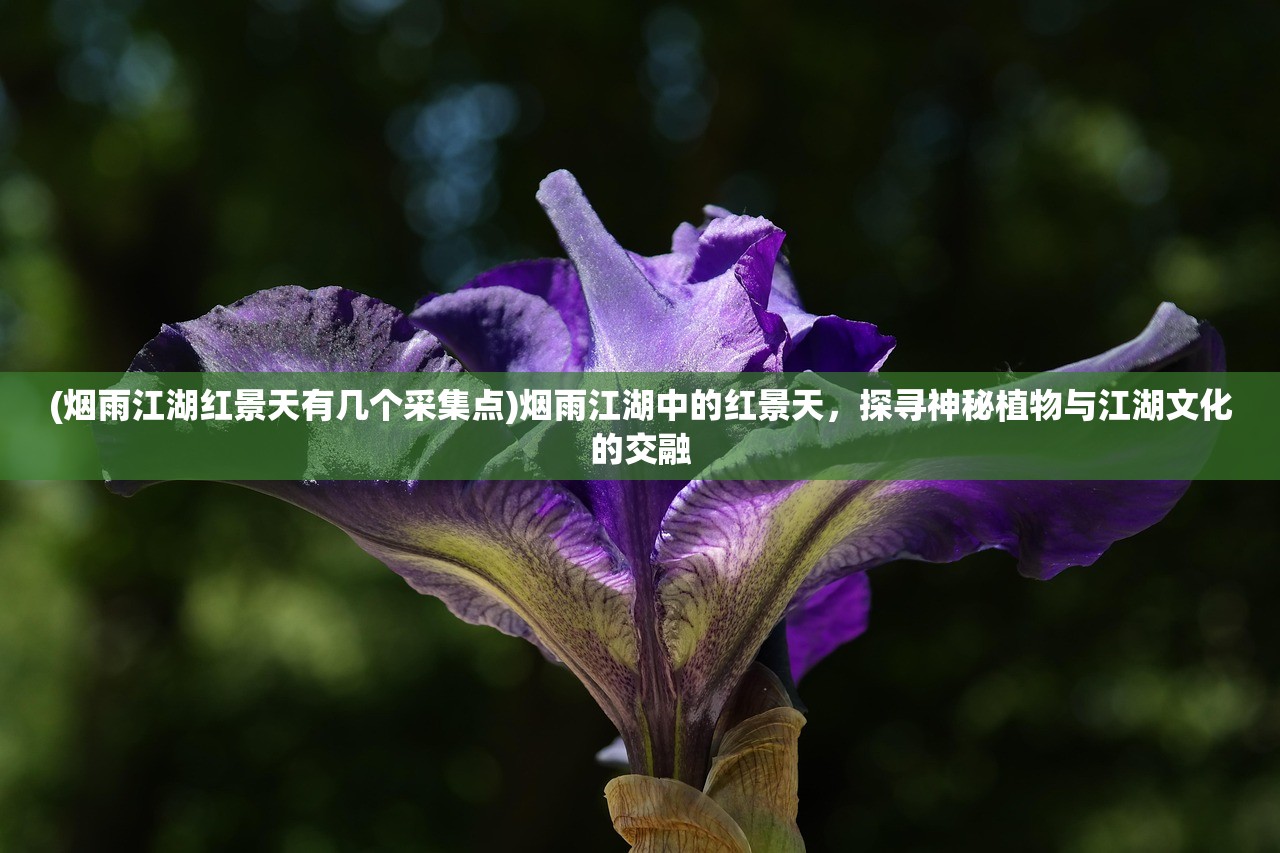 (烟雨江湖红景天有几个采集点)烟雨江湖中的红景天，探寻神秘植物与江湖文化的交融