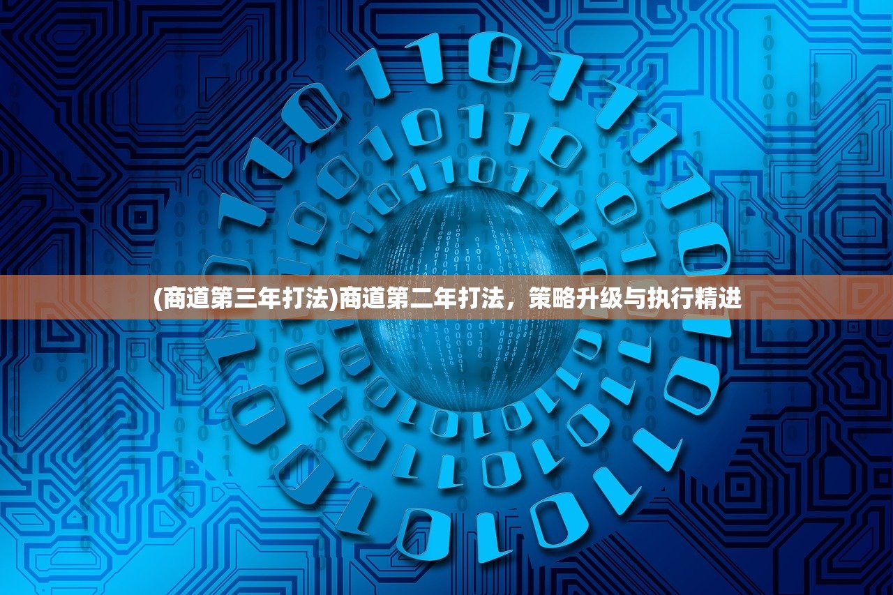 (商道第三年打法)商道第二年打法，策略升级与执行精进