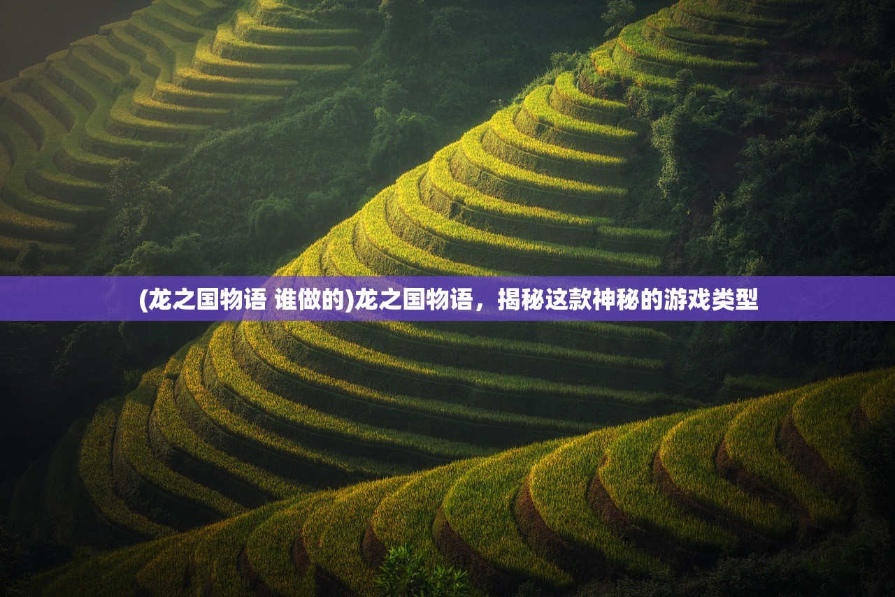(龙之国物语 谁做的)龙之国物语，揭秘这款神秘的游戏类型