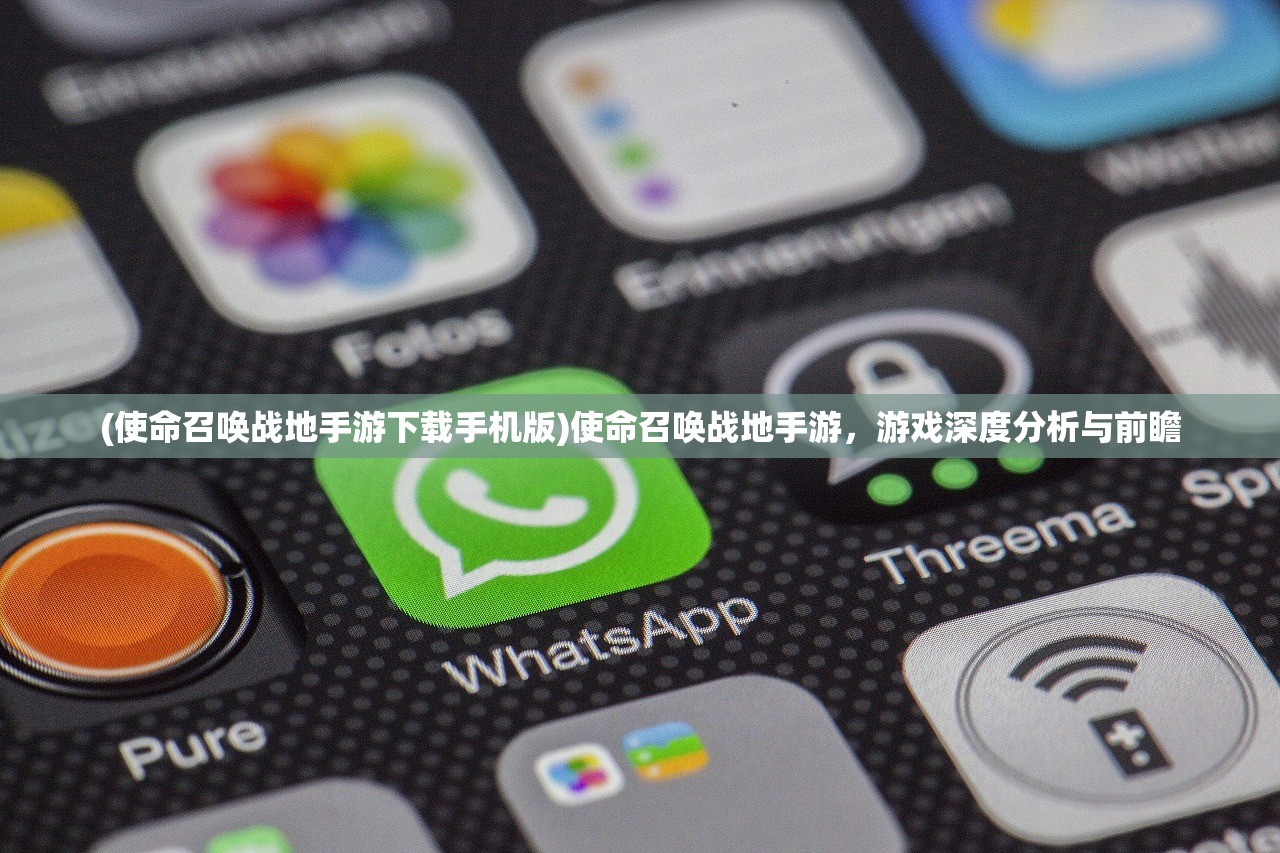 (使命召唤战地手游下载手机版)使命召唤战地手游，游戏深度分析与前瞻