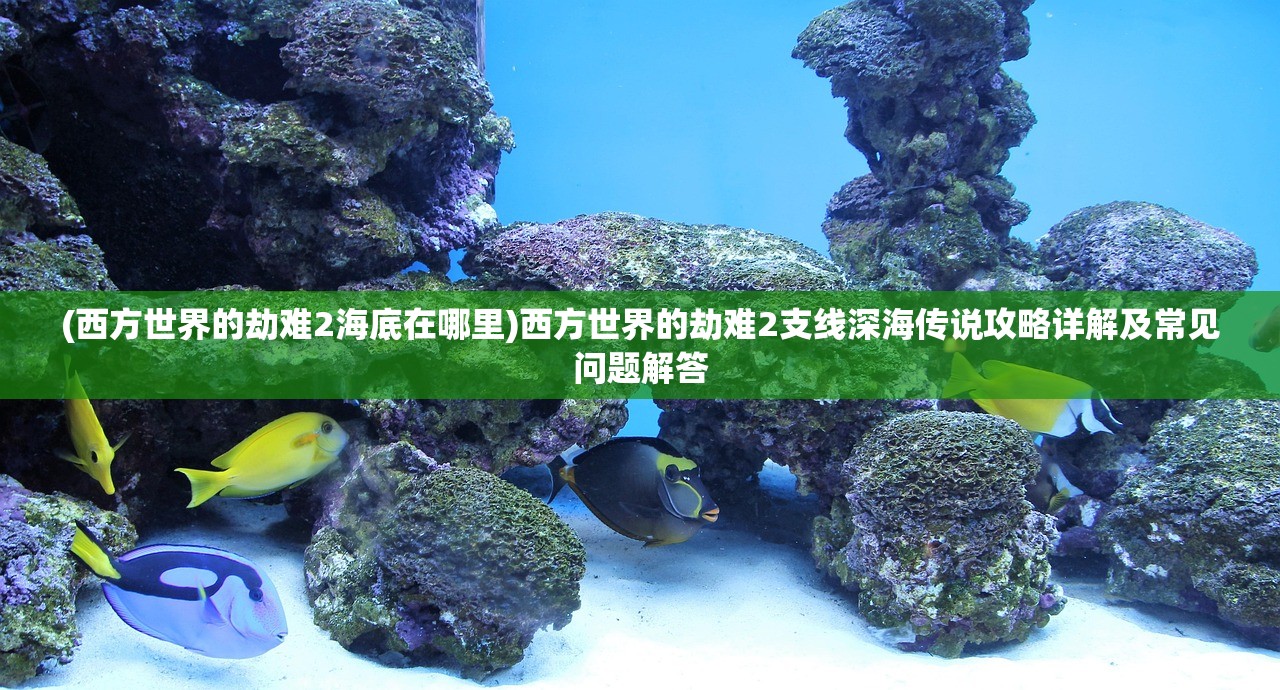 (西方世界的劫难2海底在哪里)西方世界的劫难2支线深海传说攻略详解及常见问题解答