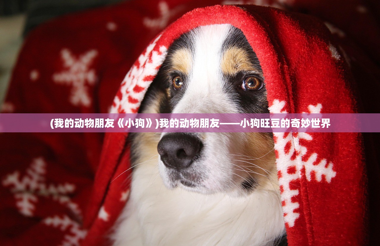 (我的动物朋友《小狗》)我的动物朋友——小狗旺豆的奇妙世界