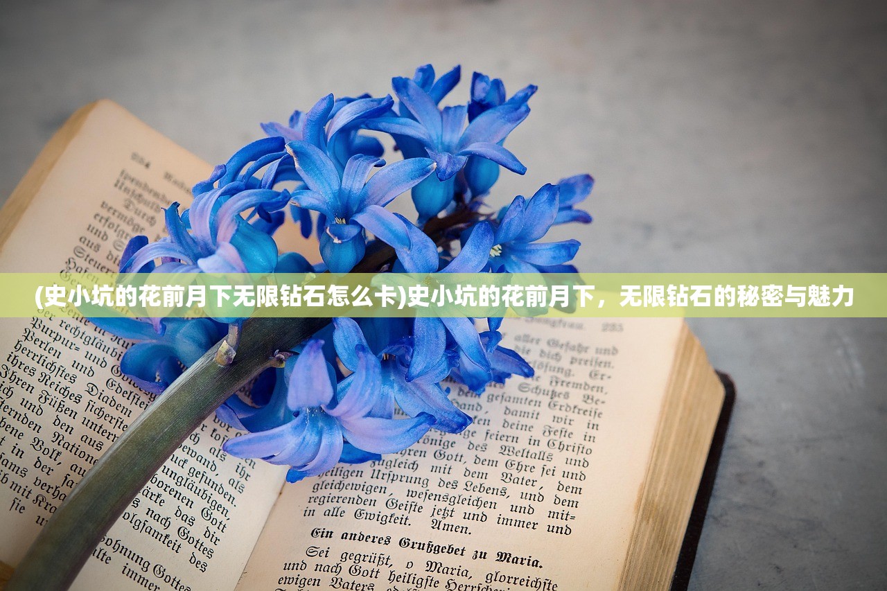 (史小坑的花前月下无限钻石怎么卡)史小坑的花前月下，无限钻石的秘密与魅力