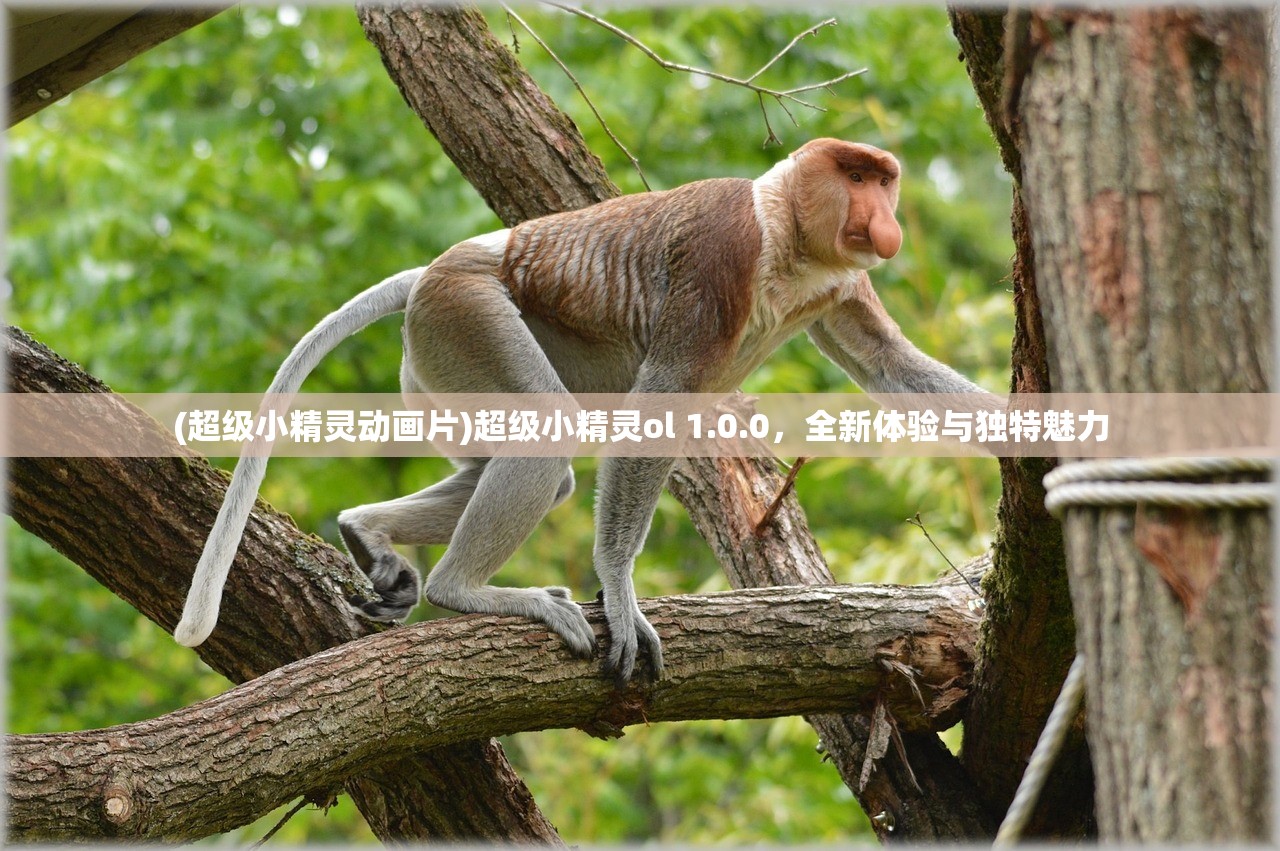 (超级小精灵动画片)超级小精灵ol 1.0.0，全新体验与独特魅力